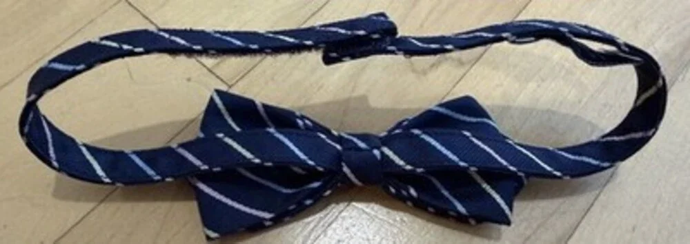 Janie and Jack Boys Navy Blue Striped Pre-Tied Bow Tie 2-4 Years Old